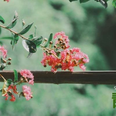 星空线上官网下载手机版